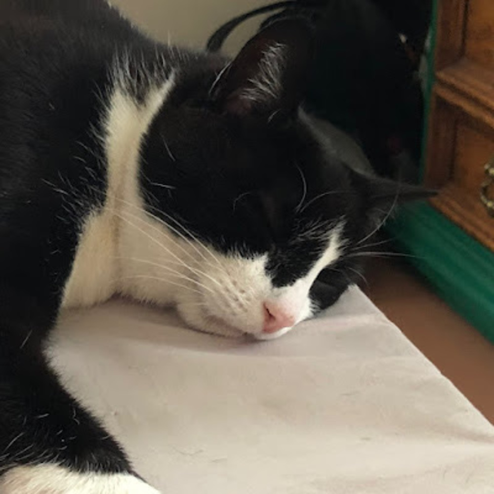 Meet your Posher, Emma